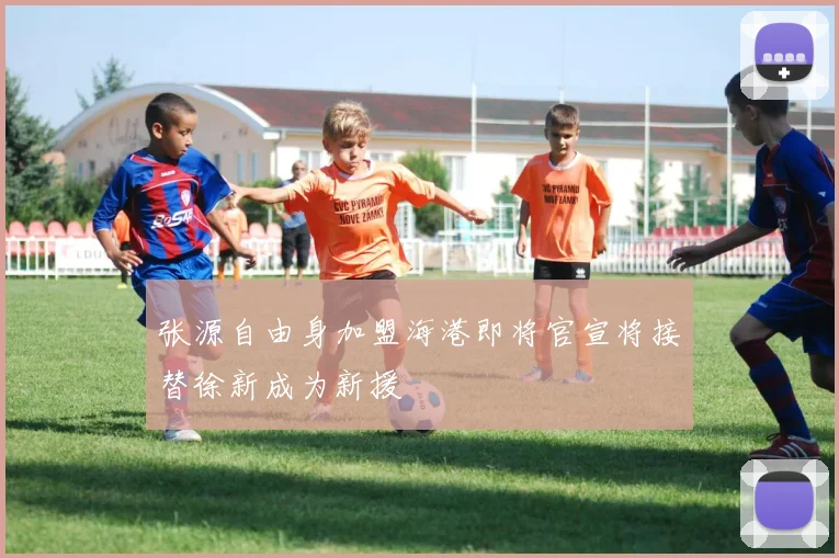 张源自由身加盟海港即将官宣将接替徐新成为新援