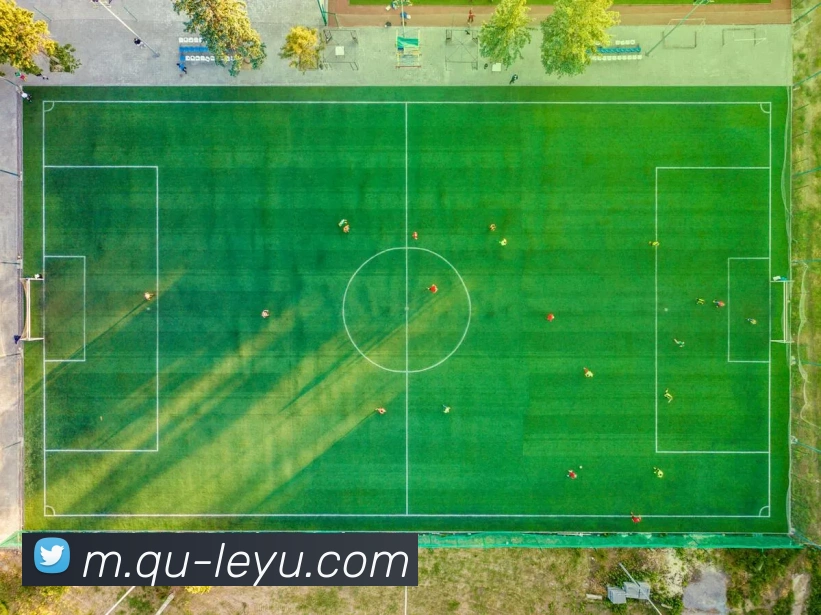 乐鱼体育平台生态图